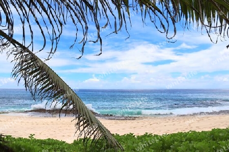 Sunny day beach view on the paradise islands Seychelles.