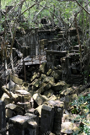 The Tempel Ruin of  Beng Mealea 32 Km north of in the Temple City of Angkor near the City of Siem Riep in the west of Cambodia.