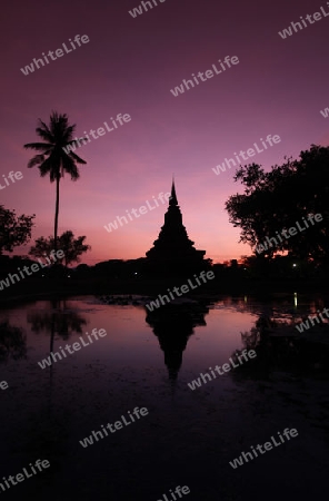 Ein Chedi beim Wat Mahathat Tempel in der Tempelanlage von Alt-Sukhothai in der Provinz Sukhothai im Norden von Thailand in Suedostasien.