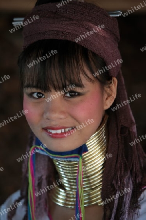 Eine Traditionell gekleidete Langhals Frau eines Paudang Stammes aus Burma lebt in einem Dorf noerdlich von Chiang Mai in Nord Thailand. 