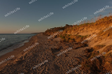 Weststrand auf dem Darss, Nationalpark Vorpommersche Boddenlandschaft, Deutschland