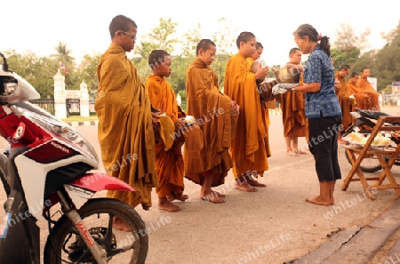 Moenche ziehen am fruehen morgen durch Alt-Sukhothai in der Provinz Sukhothai im Norden von Thailand in Suedostasien.