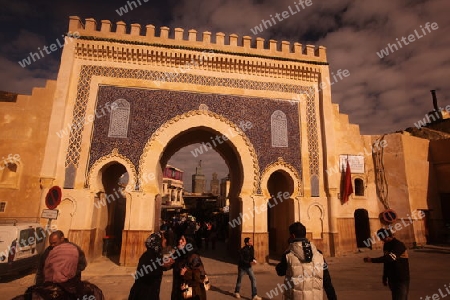 The blue Gate at the Bab Bou Jeloud in the old City in the historical Town of Fes in Morocco in north Africa.