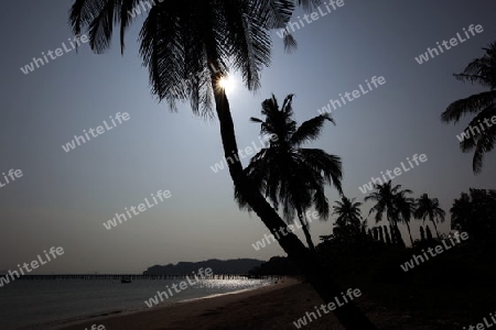 Ein Strand bei Chumphon an der Schiffsstation fuer die weiterfahrt zur Insel To Tao im Golf von Thailand im Suedwesten von Thailand in Suedostasien. 