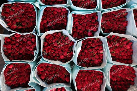 Blumen auf dem Pak Khlong Markt von Bangkok der Hauptstadt von Thailand in Suedostasien.