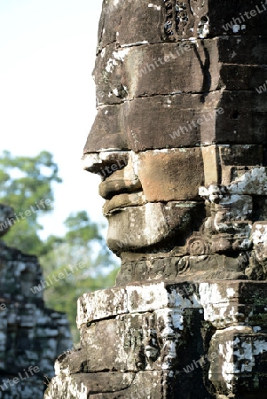 Stone Faces the Tempel Ruin of Angkor Thom in the Temple City of Angkor near the City of Siem Riep in the west of Cambodia.