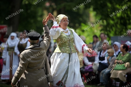 a Summer Festival in a Parc in the old City of Vilnius in the Baltic State of Lithuania,  