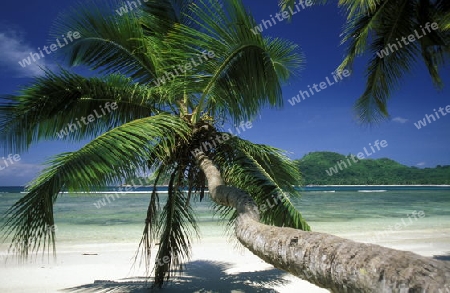 Ein Traumstrand auf der Insel Praslin der Inselgruppe Seychellen im Indischen Ozean in Afrika.