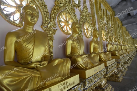 Der Grosse Tempel oder Chedi Phra Maha Chedi Chai Mongkhon auf einem Huegel bei Roi Et in der Provinz Roi Et nordwestlich von Ubon Ratchathani im nordosten von Thailand in Suedostasien.