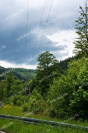 Schwarzwald