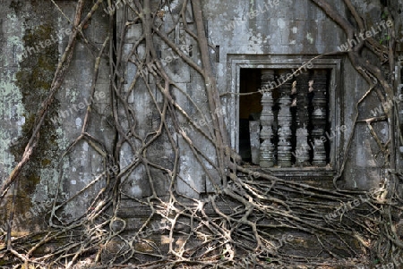 The Tempel Ruin of  Beng Mealea 32 Km north of in the Temple City of Angkor near the City of Siem Riep in the west of Cambodia.