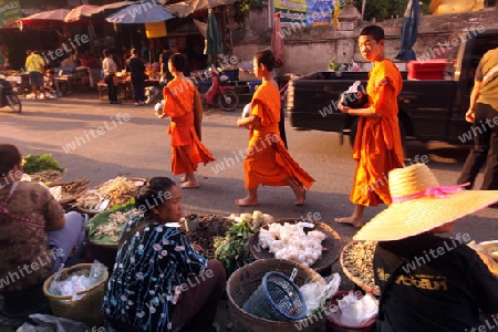 Der Markt am Morgen in der Altstadt von Chiang Rai in der Provinz chiang Rai im Norden von Thailand in Suedostasien.