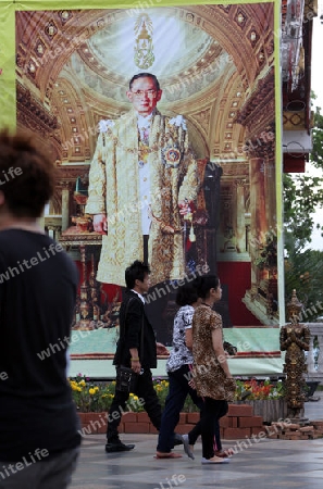 Ein grosses Bild des Koenig Bhumipol Adulyadej Rama 9 in der Tempel Anlage des Wat Phra That Doi Suthep bei Chiang Mai in der Provinz Chiang Mai im Norden von Thailand in Suedostasien.