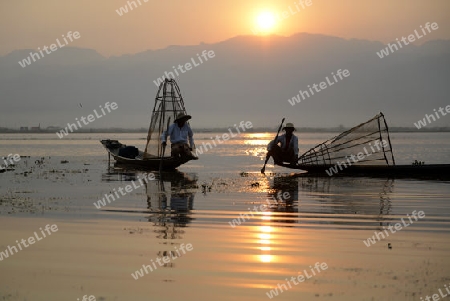 Fishermen at sunrise in the Landscape on the Inle Lake in the Shan State in the east of Myanmar in Southeastasia.