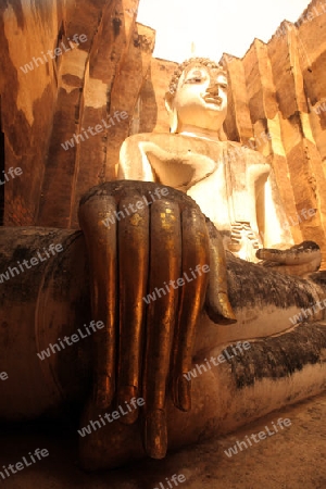 Die Buddha Figur  im Wat Si Chum Tempel in der Tempelanlage von Alt-Sukhothai in der Provinz Sukhothai im Norden von Thailand in Suedostasien.