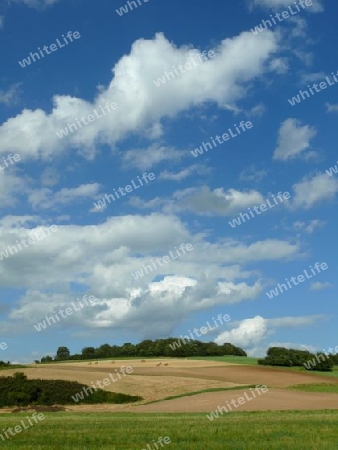 Felder im Odenwald