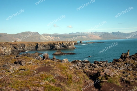 Der Westen Islands, die Klippen der Steilk?ste von Arnastapi auf der S?dseite der Halbinsel Sn?fellsnes