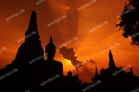 Eine Buddha Figur  im Wat Mahathat Tempel in der Tempelanlage von Alt-Sukhothai in der Provinz Sukhothai im Norden von Thailand in Suedostasien.