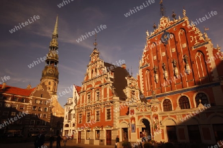 Die Petrikirche und das Schwarzhaeupterhaus in der Altstadt von Riga der Hauptststadt von Lettland im Baltikum in Osteuropa.  