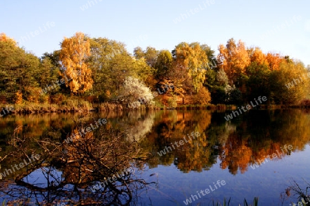 Herbstsee, Herbstfarben