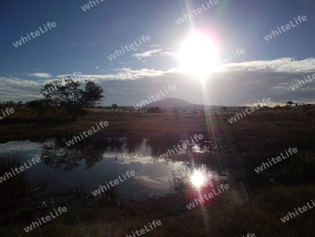 See, Teich, T?mpel, Wasserstelle, Kenya, Tsavo, West, Afrika, Nationalpark, Wildreservat