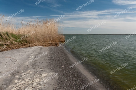 Am  Bodden, Nationalpark Vorpommersche Boddenlandschaft, Deutschland