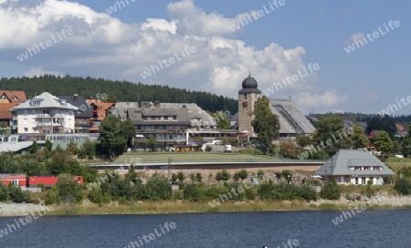 peaceful idyllic scenery around the Schluchsee, a lake in the Black Forest (Southern Germany) at summer time