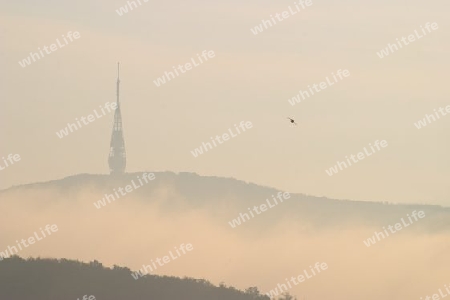 Turm und Nebel