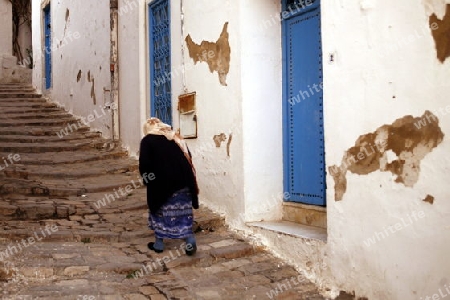 Afrika, Nordafrika, Tunesien, Tunis, Sidi Bou Said
Die Altstadt von Sidi Bou Said in der Daemmerung am Mittelmeer und noerdlich der Tunesischen Hauptstadt Tunis. 






