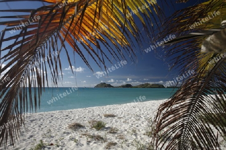 Suedamerika, Karibik, Venezuela, Los Roques, Insel, Atoll, Archipfel, Strand, Beach, Strandinsel, Meer, Wetter, Reef, Ferien, Baden, Traumstrand, Palmen, Natur