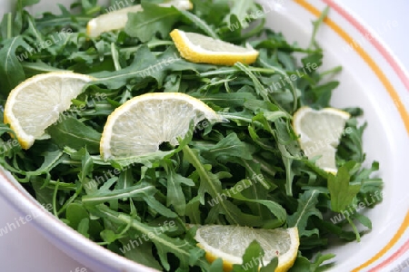 rucola