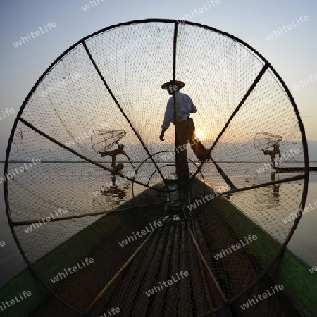 Fishermen at sunrise in the Landscape on the Inle Lake in the Shan State in the east of Myanmar in Southeastasia.