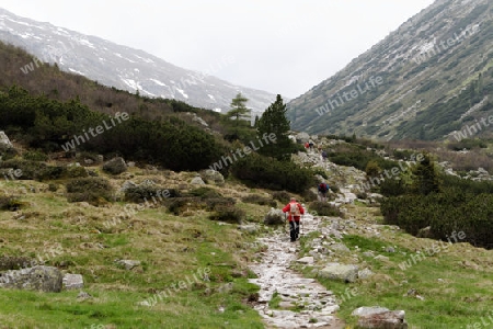 Zum Pfitscherjoch, Zillertal, Oesterreich