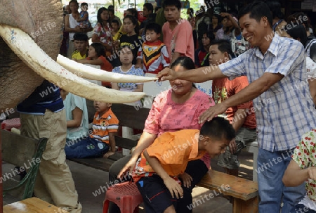 Das Songkran Fest oder Wasserfest zum Thailaendischen Neujahr ist im vollem Gange in Ayutthaya noerdlich von Bangkok in Thailand in Suedostasien.  