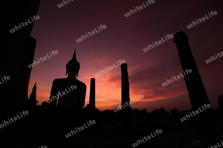 Eine Buddha Figur  im Wat Mahathat Tempel in der Tempelanlage von Alt-Sukhothai in der Provinz Sukhothai im Norden von Thailand in Suedostasien.