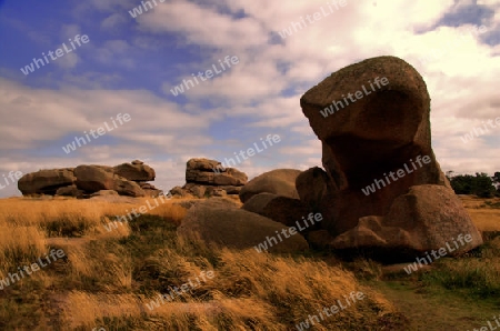 Une dune a la C?te Granit Rose