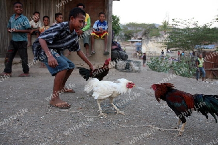 Der Wochenmarkt im Bergdorf Same suedlich von Dili in Ost Timor auf der in zwei getrennten Insel Timor in Asien.  