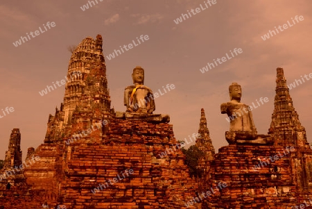 The Wat Chai Wattanaram Temple in City of Ayutthaya in the north of Bangkok in Thailand, Southeastasia.