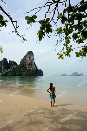 The Hat Railay Leh Beach at Railay near Ao Nang outside of the City of Krabi on the Andaman Sea in the south of Thailand. 