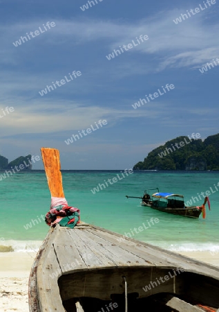 A Beach on the Island of Ko PhiPhi on Ko Phi Phi Island outside of the City of Krabi on the Andaman Sea in the south of Thailand. 