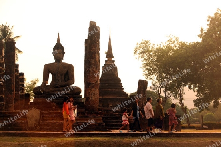 Eine Buddha Figur  im Wat Mahathat Tempel in der Tempelanlage von Alt-Sukhothai in der Provinz Sukhothai im Norden von Thailand in Suedostasien.