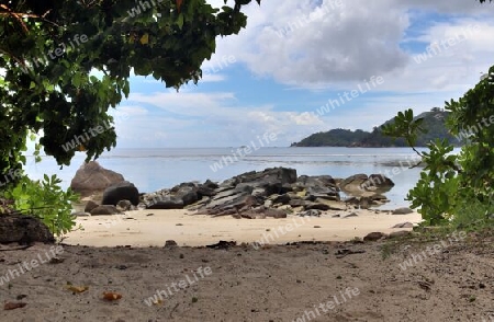 Sunny day beach view on the paradise islands Seychelles.