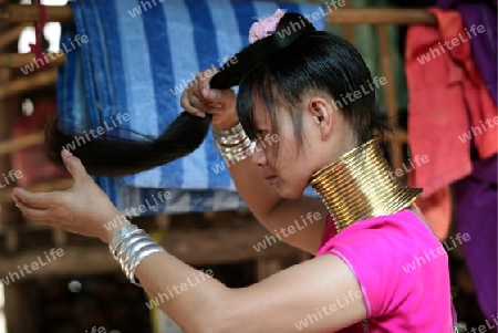 Eine Traditionell gekleidete Langhals Frau eines Paudang Stammes aus Burma lebt in einem Dorf noerdlich von Chiang Mai in Nord Thailand. 