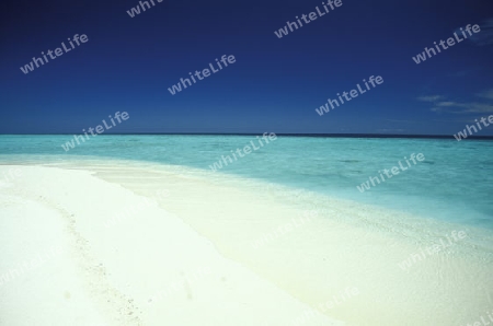 
Der Traumstrand mit Palmen und weissem Sand an der Insel Velavaru im Southmale Atoll auf den Inseln der Malediven im Indischen Ozean.   