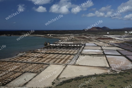 The Salinas in the Laguna of El Charco on the Island of Lanzarote on the Canary Islands of Spain in the Atlantic Ocean.