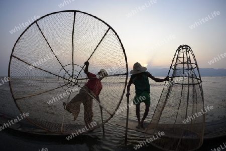 Fishermen at sunrise in the Landscape on the Inle Lake in the Shan State in the east of Myanmar in Southeastasia.