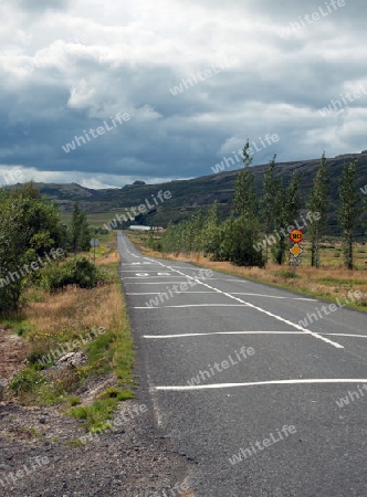 Der S?den Islands, Stra?e 35 zum Geysir-Gebiet, Hakadalur, im "Goldenen Zirkel"