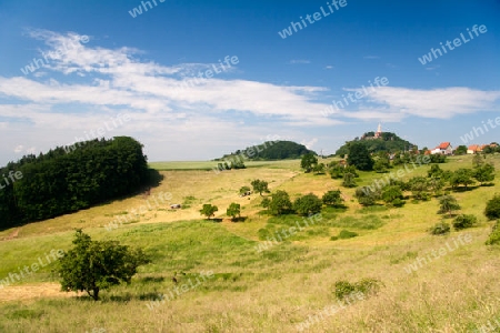 Sommerlandschaft bei Seitenroda