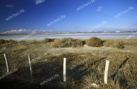 Der Salzsee bei Larnaka im sueden der Insel Zypern im Mittelmeer in Europa .