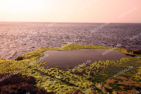 Asien, Suedost, Indonesien, Bali, Insel, Nusa Lembongan, Jungutbatu, Landschaft, Natur, Kueste, Pool, Meer,         (Urs Flueeler) 